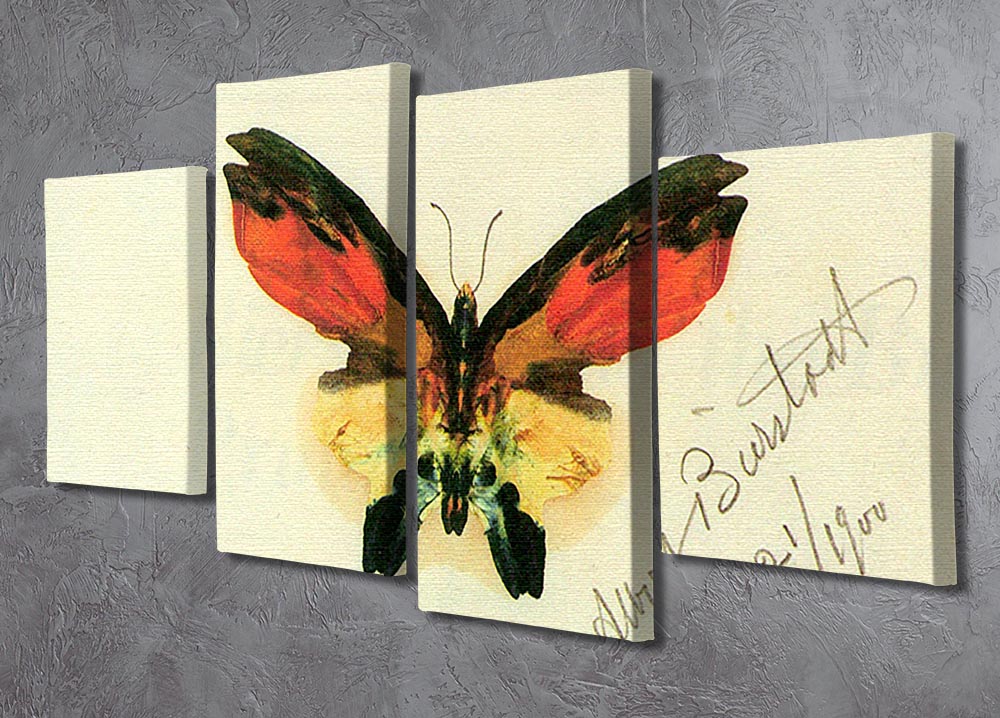 Butterfly 2 by Bierstadt 4 Split Panel Canvas - Canvas Art Rocks - 2