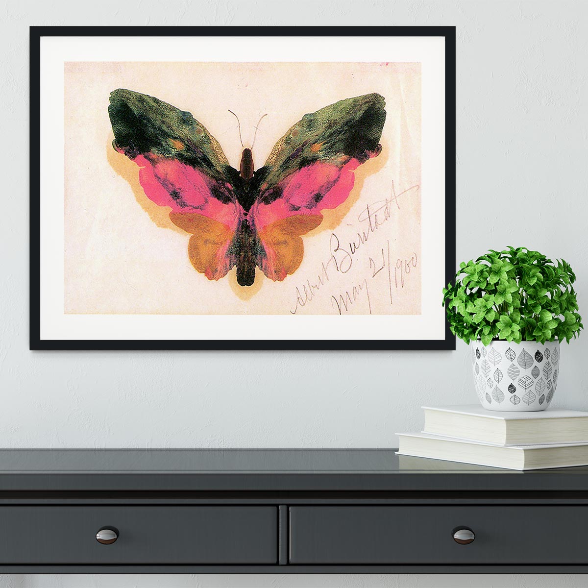 Butterfly by Bierstadt Framed Print - Canvas Art Rocks - 1