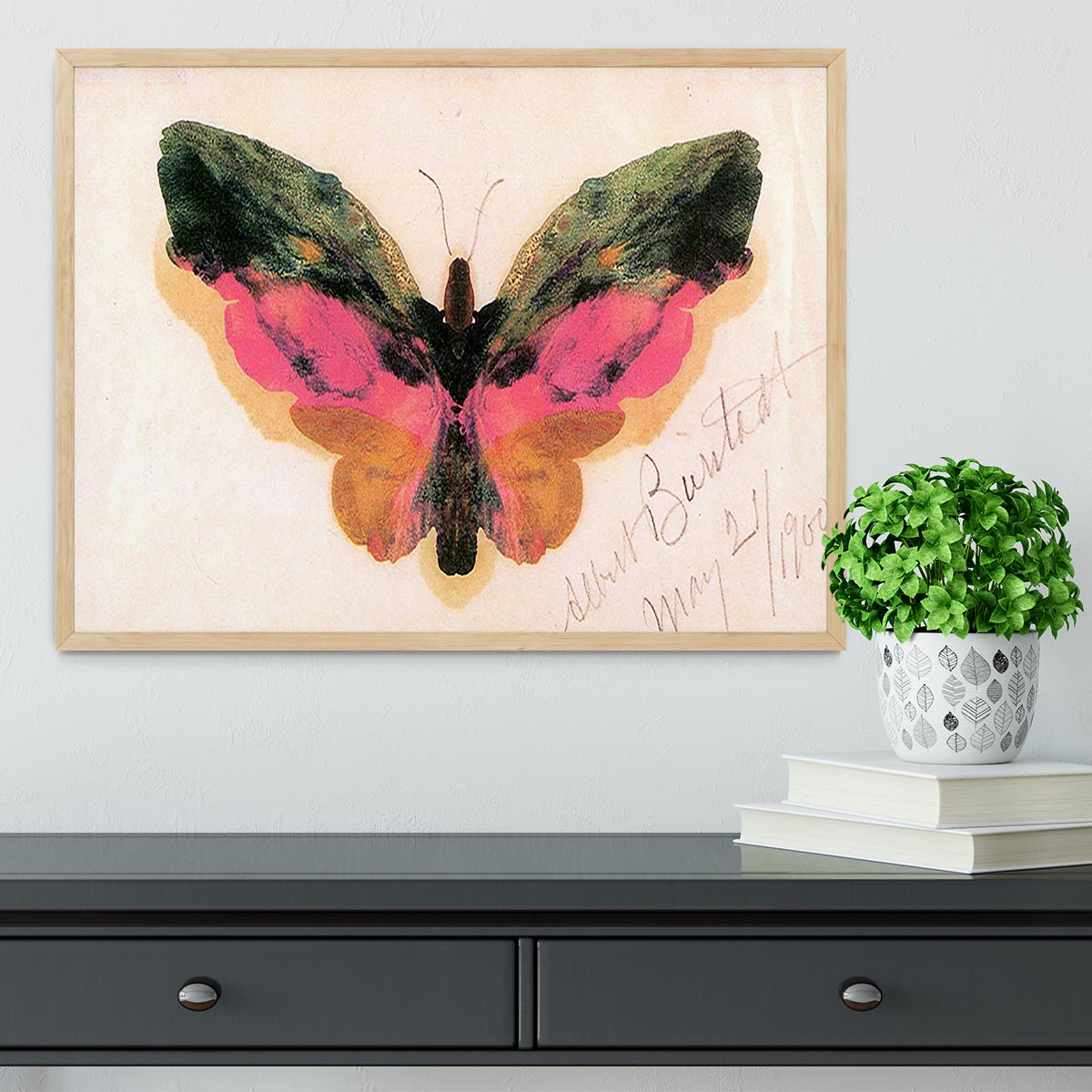 Butterfly by Bierstadt Framed Print - Canvas Art Rocks - 4