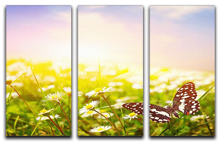 Butterfly on a daisy field 3 Split Panel Canvas Print - Canvas Art Rocks - 1