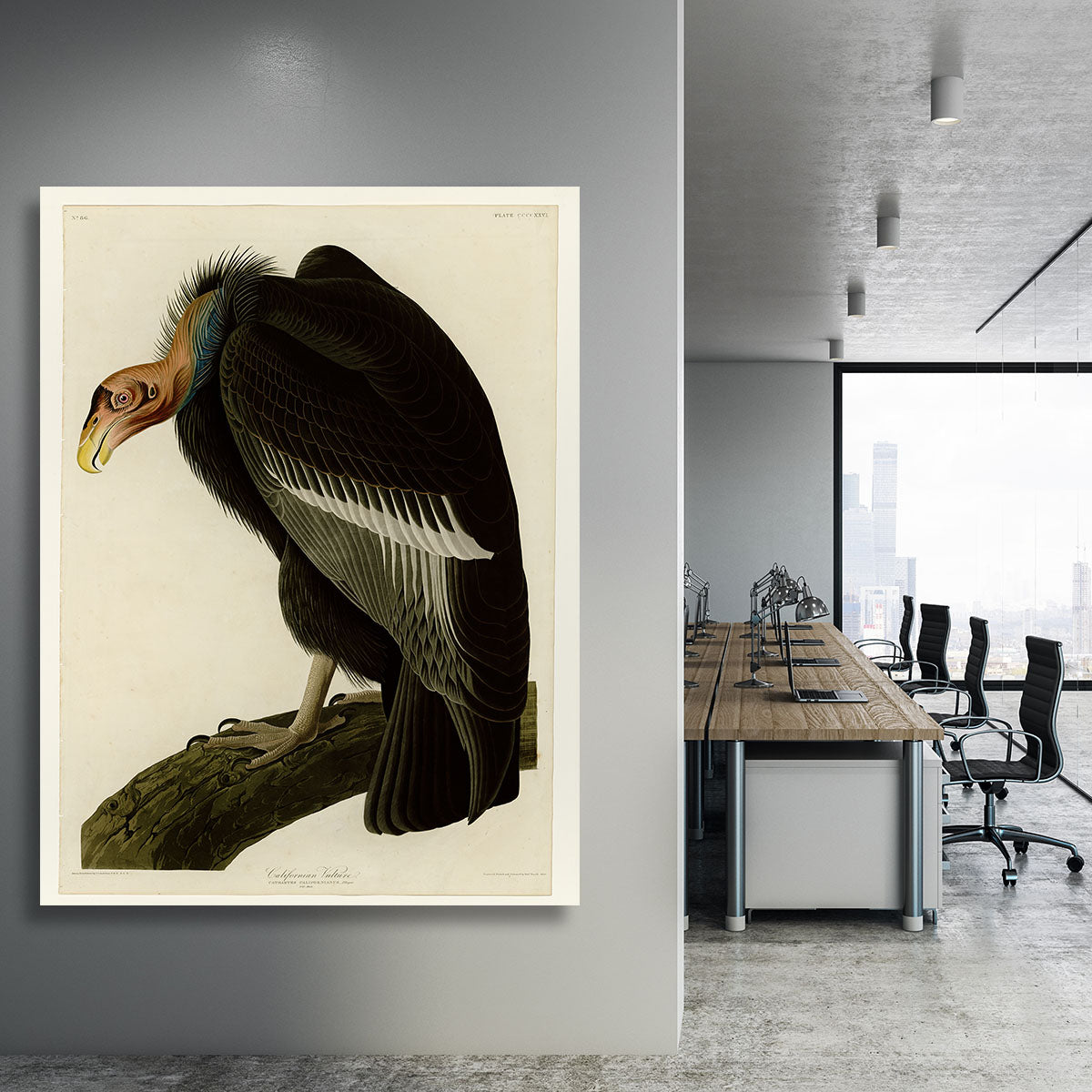 Californian Vulture by Audubon Canvas Print or Poster - Canvas Art Rocks - 3