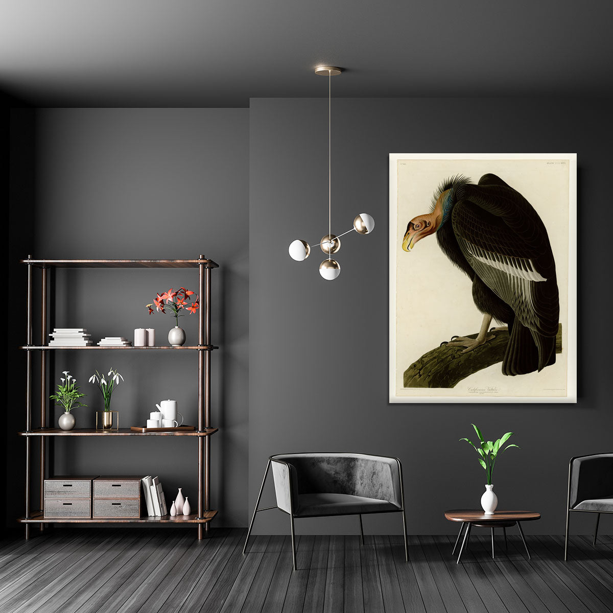 Californian Vulture by Audubon Canvas Print or Poster - Canvas Art Rocks - 5
