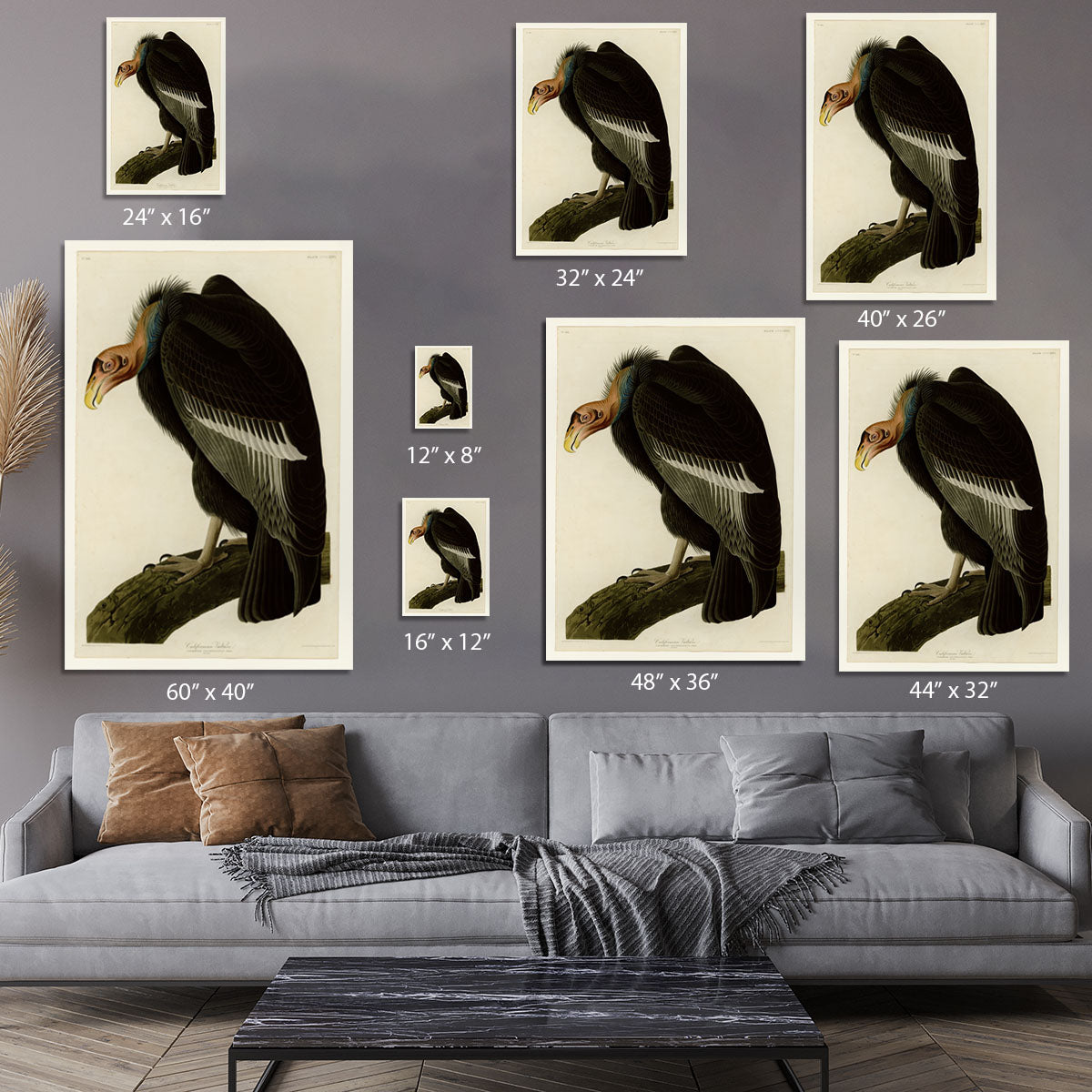 Californian Vulture by Audubon Canvas Print or Poster - Canvas Art Rocks - 7