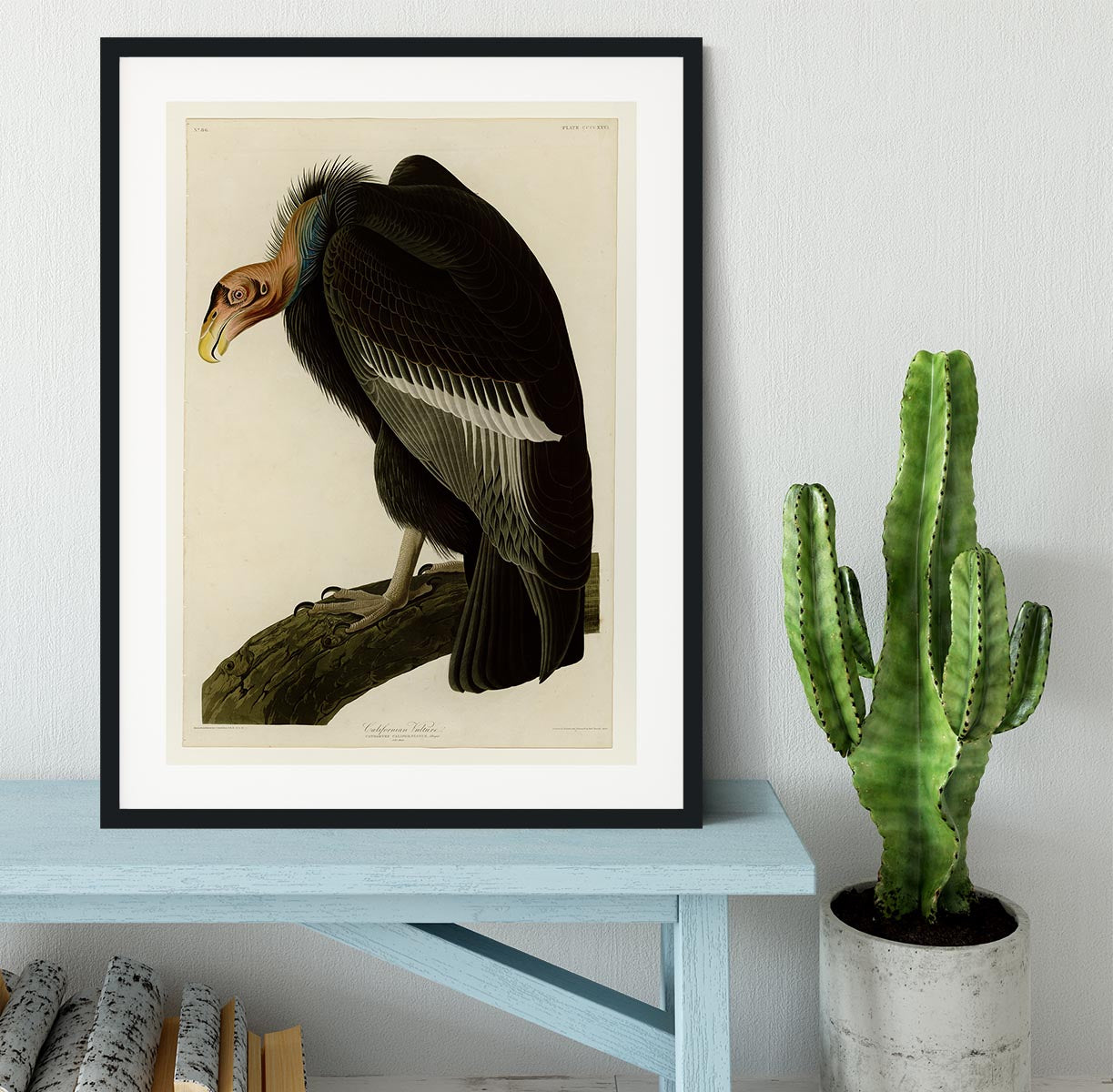 Californian Vulture by Audubon Framed Print - Canvas Art Rocks - 1