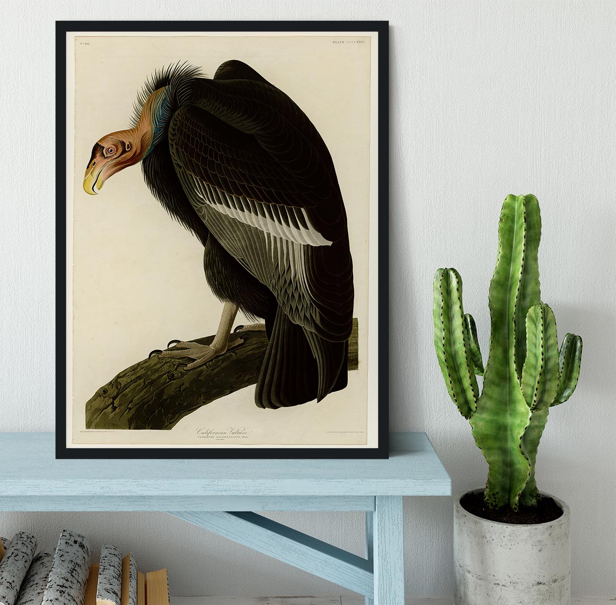 Californian Vulture by Audubon Framed Print - Canvas Art Rocks - 2