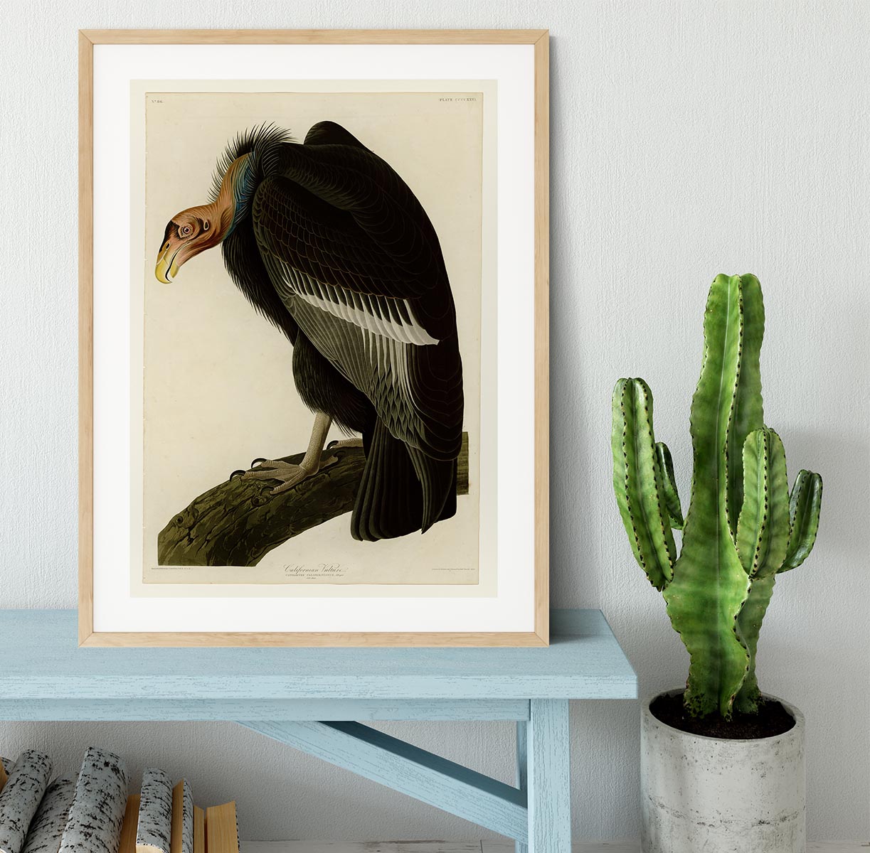 Californian Vulture by Audubon Framed Print - Canvas Art Rocks - 3