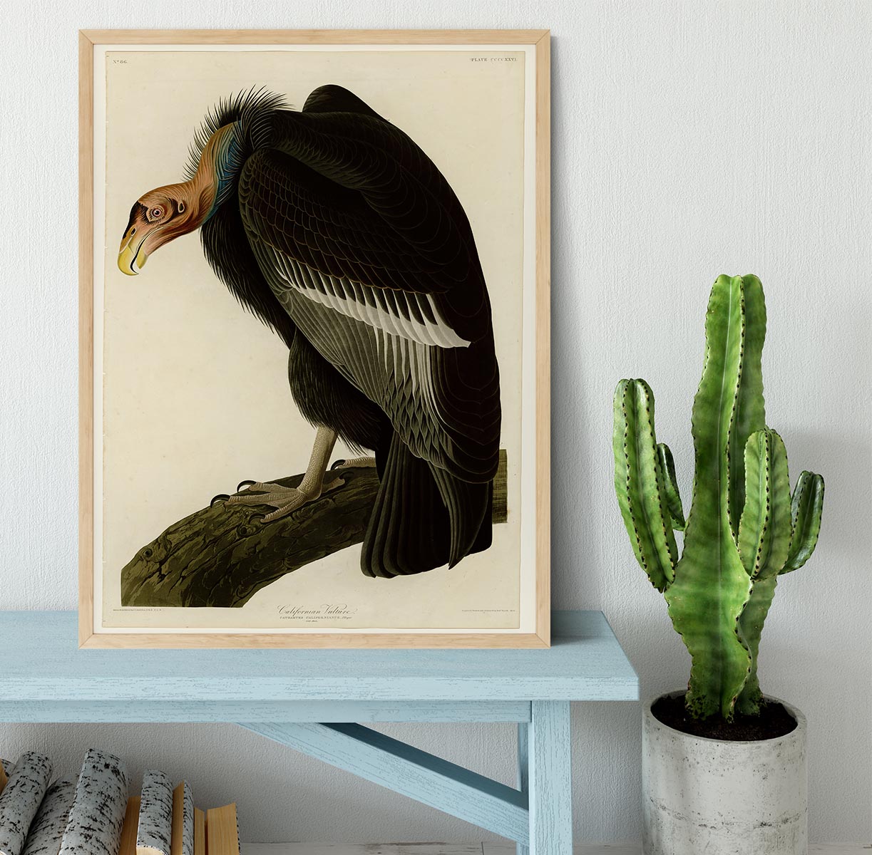 Californian Vulture by Audubon Framed Print - Canvas Art Rocks - 4