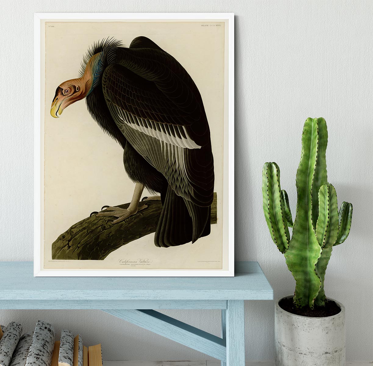 Californian Vulture by Audubon Framed Print - Canvas Art Rocks -6