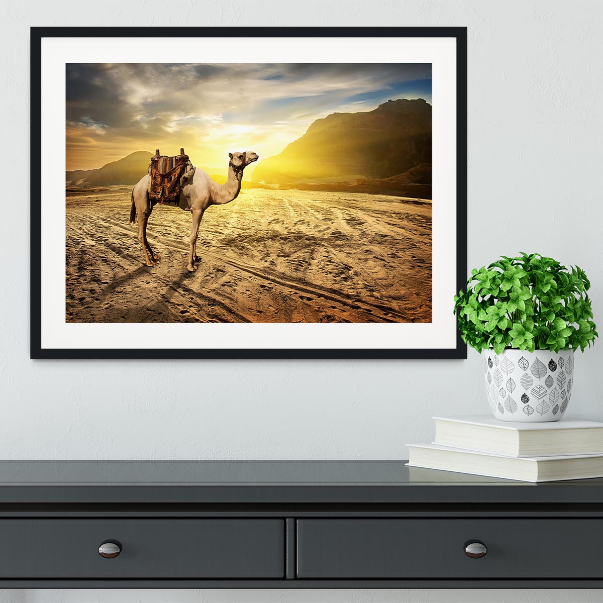 Camel in sandy desert near mountains at sunset Framed Print - Canvas Art Rocks - 1