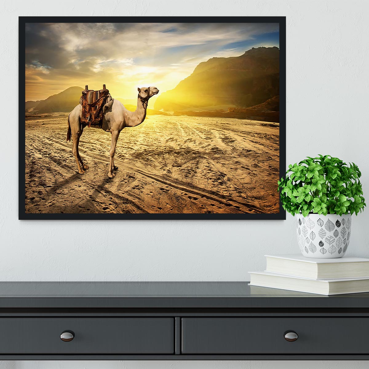 Camel in sandy desert near mountains at sunset Framed Print - Canvas Art Rocks - 2