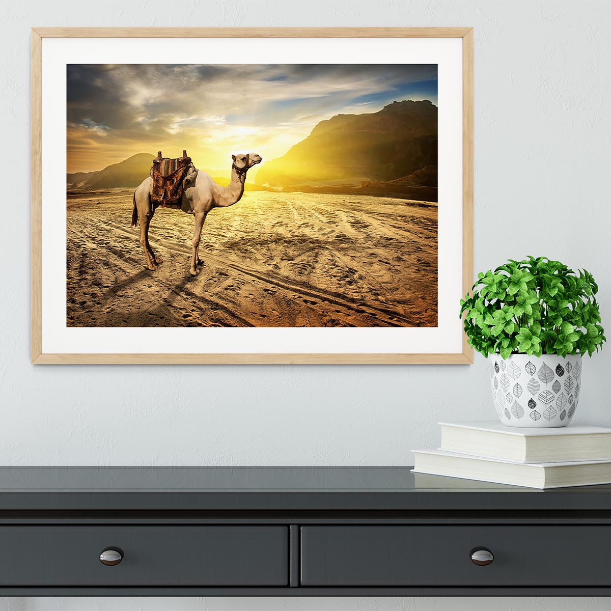 Camel in sandy desert near mountains at sunset Framed Print - Canvas Art Rocks - 3