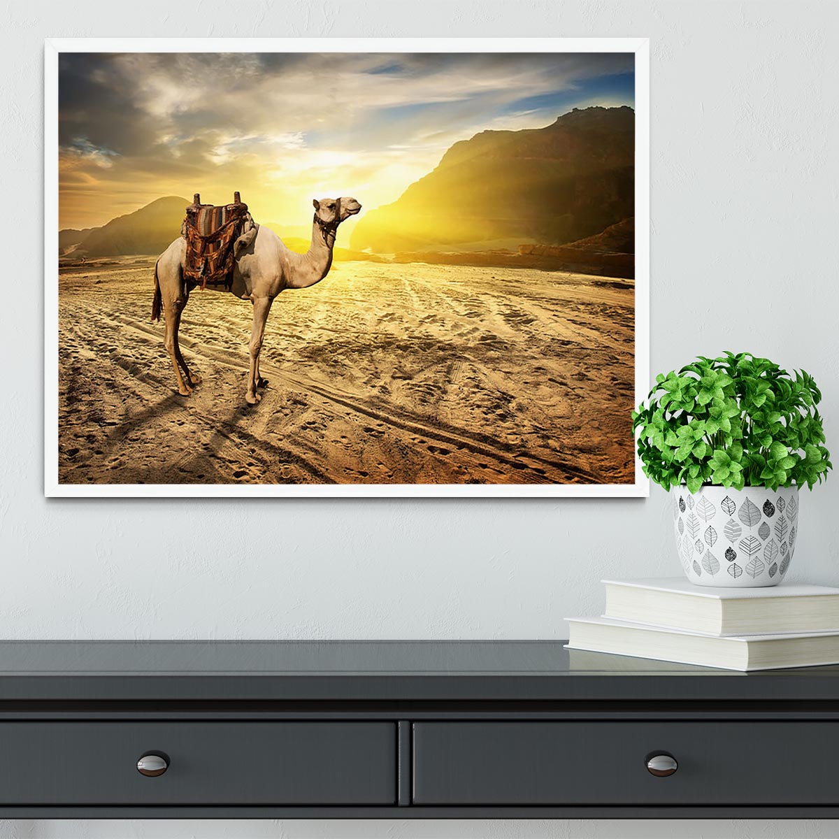 Camel in sandy desert near mountains at sunset Framed Print - Canvas Art Rocks -6