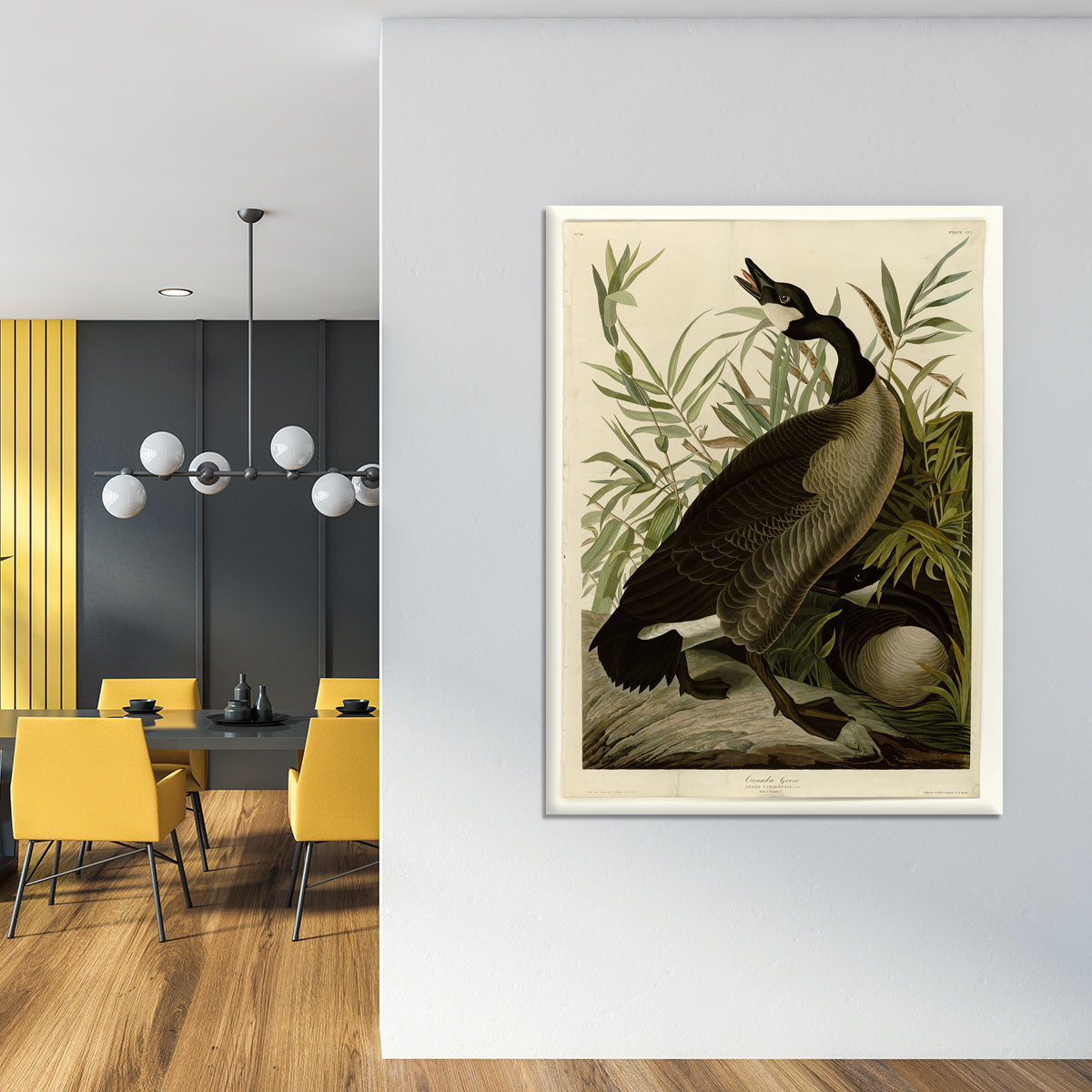 Canada Goose by Audubon Canvas Print or Poster - Canvas Art Rocks - 4