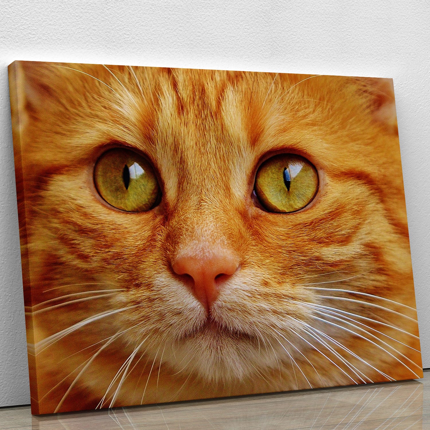 Cat Close Up Canvas Print or Poster - Canvas Art Rocks - 1