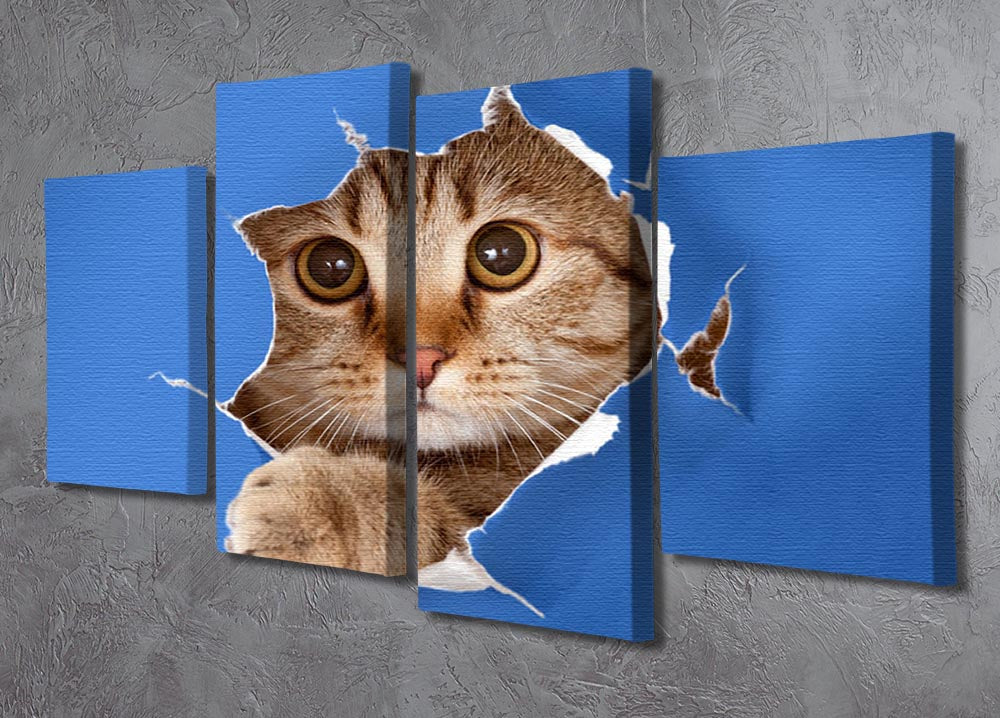 Cat in blue chromakey paper hole 4 Split Panel Canvas - Canvas Art Rocks - 2