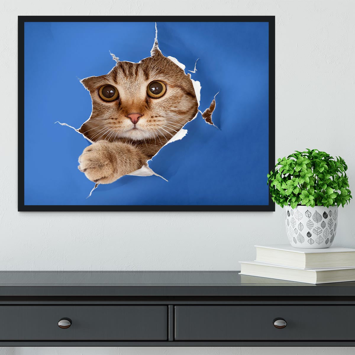 Cat in blue chromakey paper hole Framed Print - Canvas Art Rocks - 2