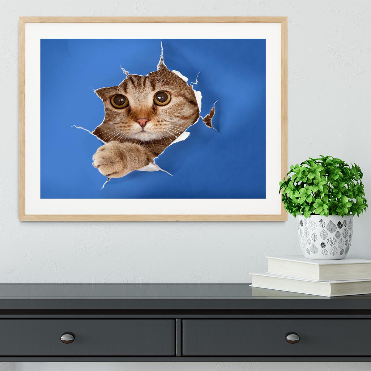 Cat in blue chromakey paper hole Framed Print - Canvas Art Rocks - 3