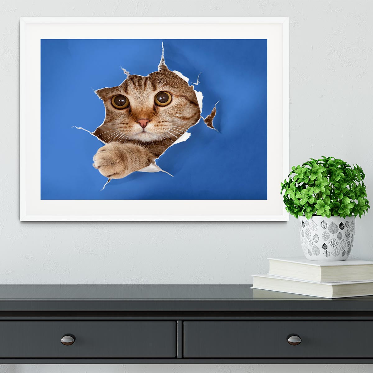 Cat in blue chromakey paper hole Framed Print - Canvas Art Rocks - 5