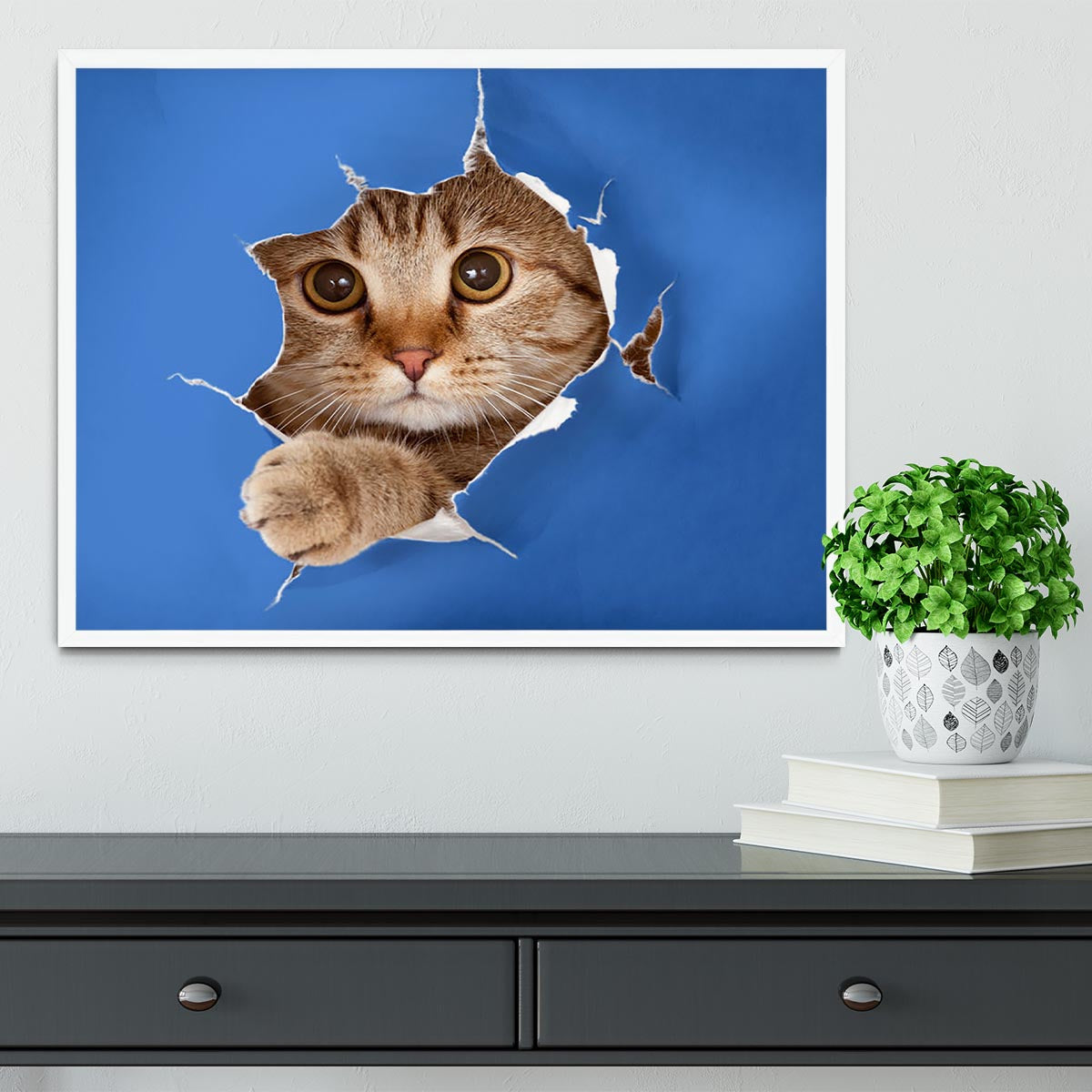 Cat in blue chromakey paper hole Framed Print - Canvas Art Rocks -6