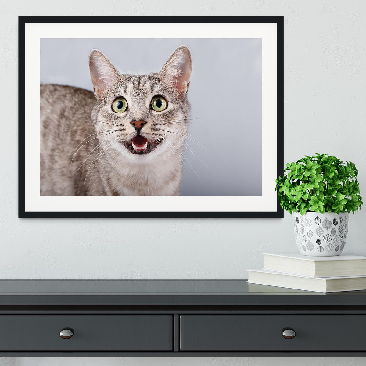 Cat meows gray tabby Shorthair Framed Print - Canvas Art Rocks - 1