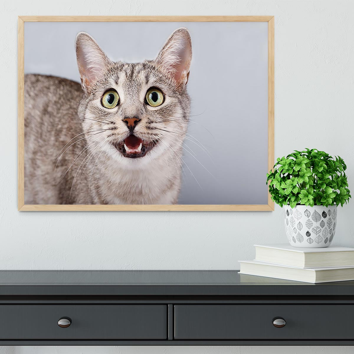 Cat meows gray tabby Shorthair Framed Print - Canvas Art Rocks - 4