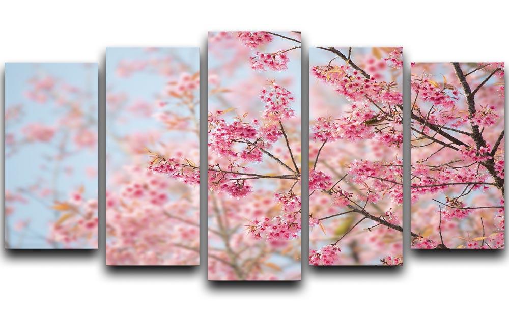 Cherry Blossom 5 Split Panel Canvas  - Canvas Art Rocks - 1