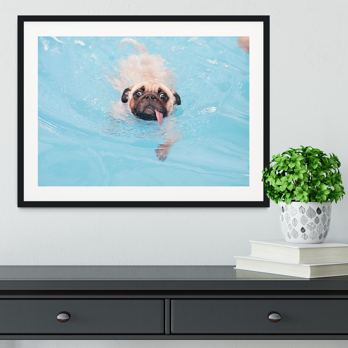 Close-up a cute dog puppy Pug Framed Print - Canvas Art Rocks - 1