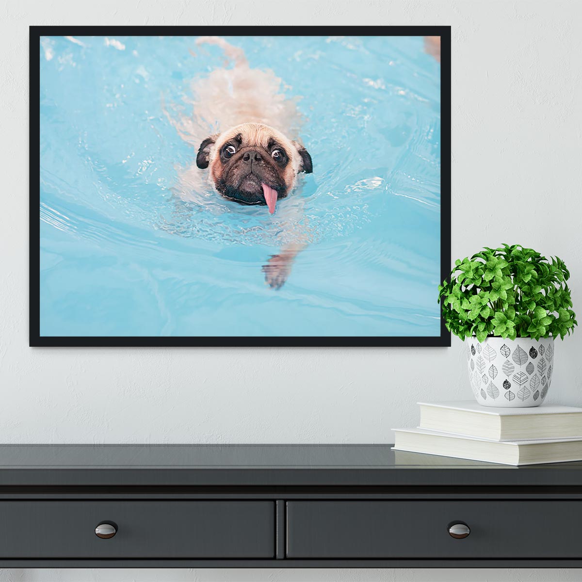 Close-up a cute dog puppy Pug Framed Print - Canvas Art Rocks - 2