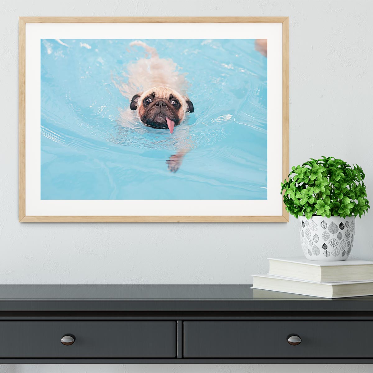 Close-up a cute dog puppy Pug Framed Print - Canvas Art Rocks - 3