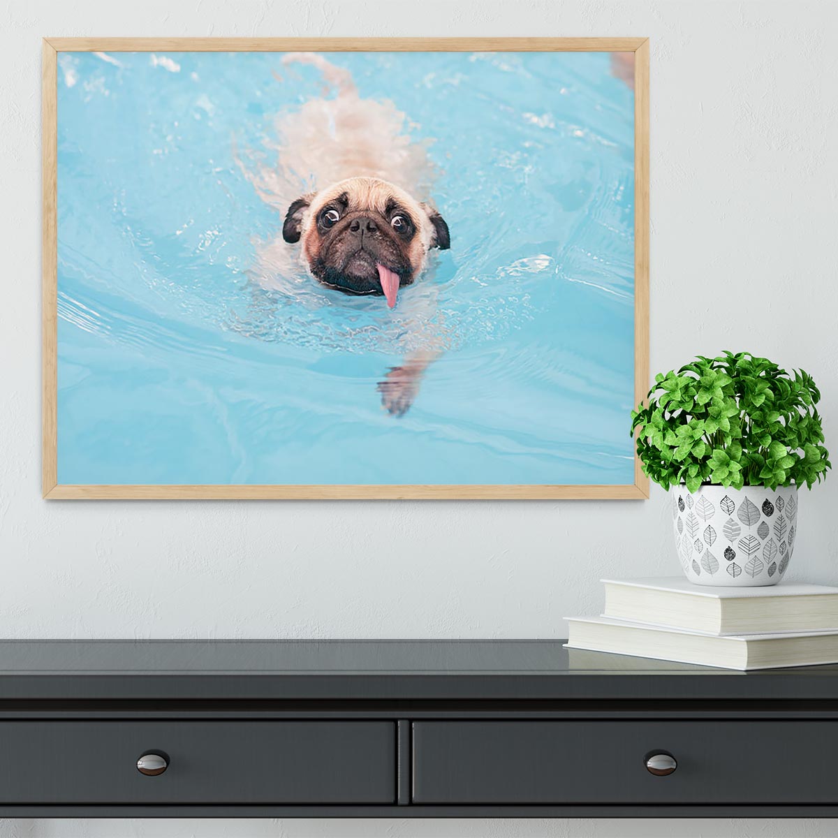 Close-up a cute dog puppy Pug Framed Print - Canvas Art Rocks - 4