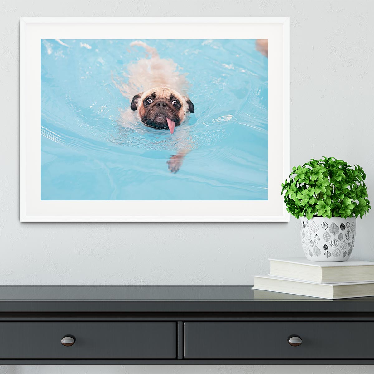 Close-up a cute dog puppy Pug Framed Print - Canvas Art Rocks - 5