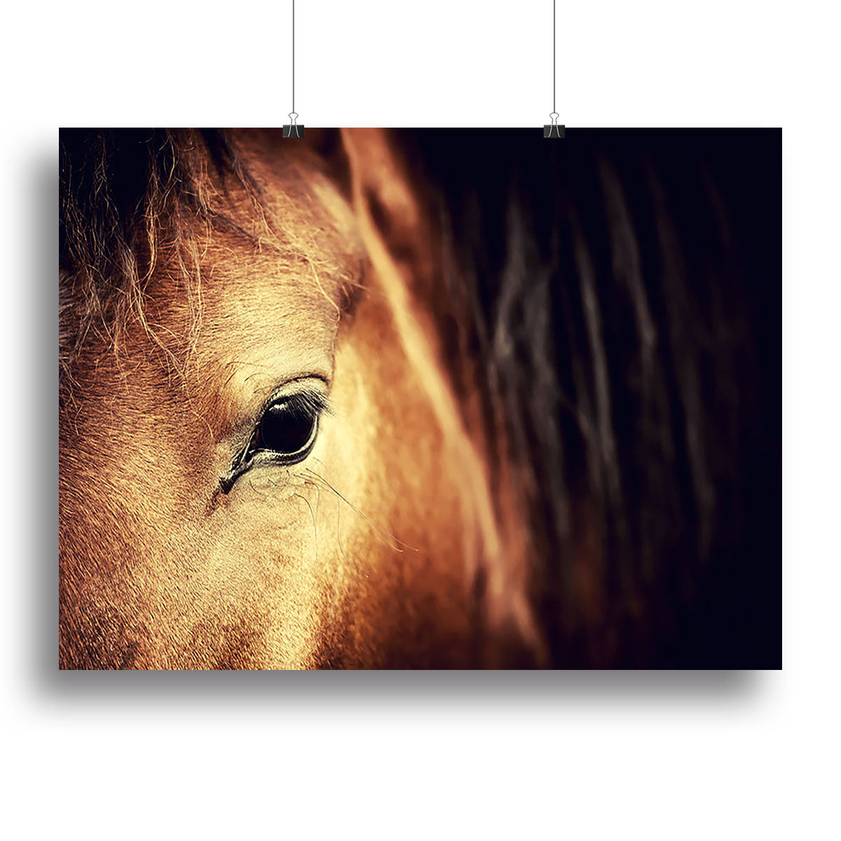 Close-up eye of Arabian bay horse on dark Canvas Print or Poster - Canvas Art Rocks - 2