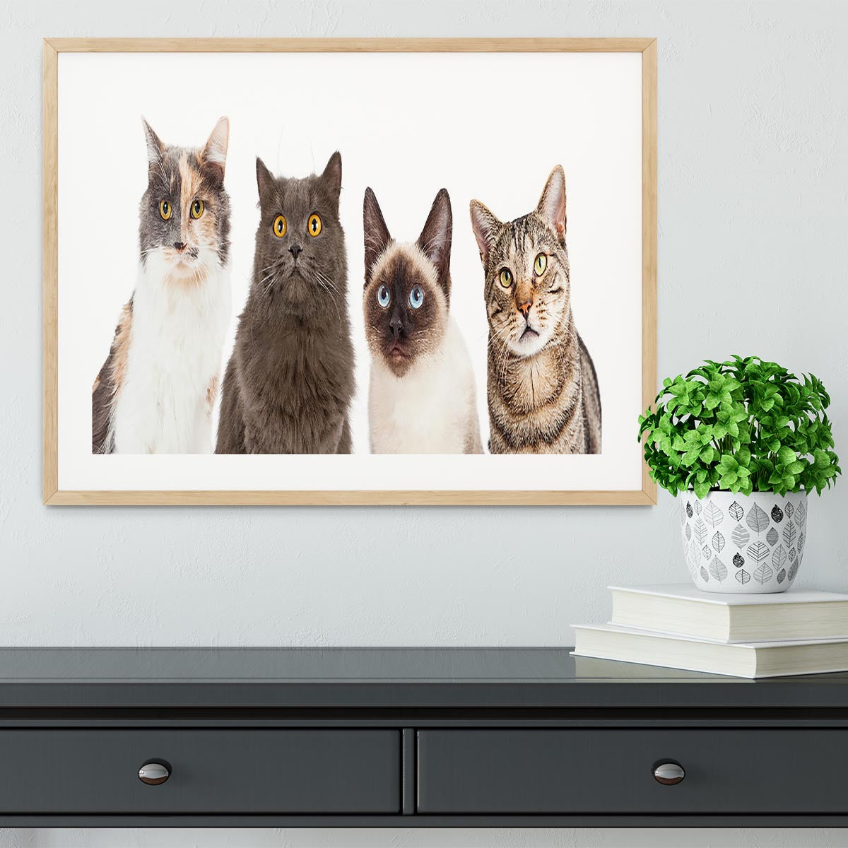 Close-up image of four different breed cats looking forward at the camera Framed Print - Canvas Art Rocks - 3