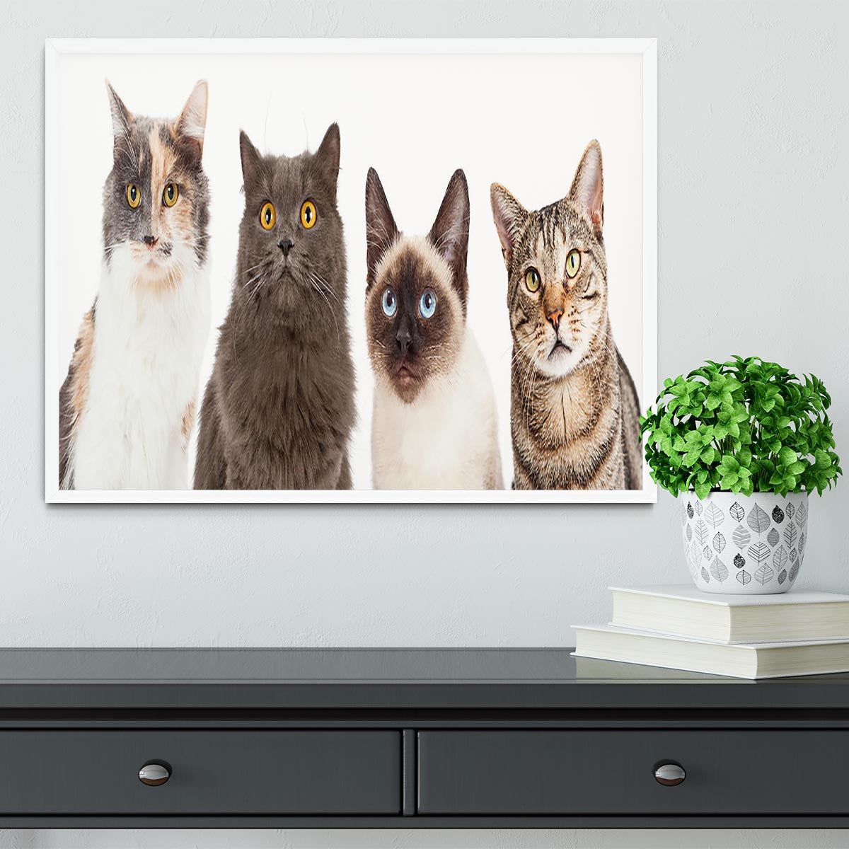 Close-up image of four different breed cats looking forward at the camera Framed Print - Canvas Art Rocks -6