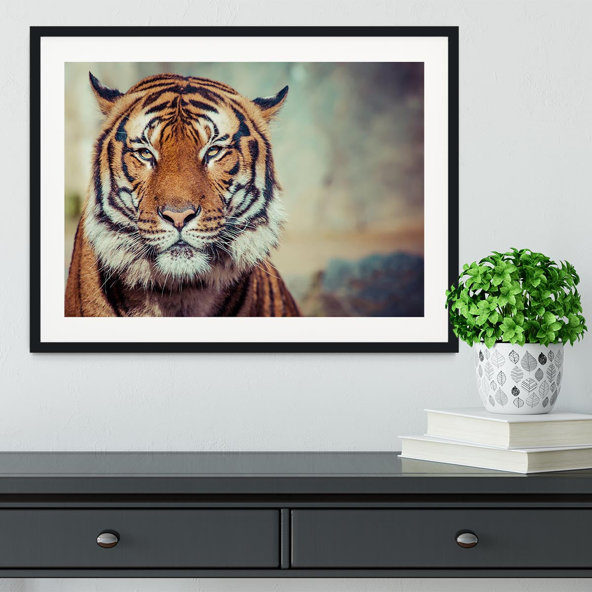Close-up of a Tigers face Framed Print - Canvas Art Rocks - 1
