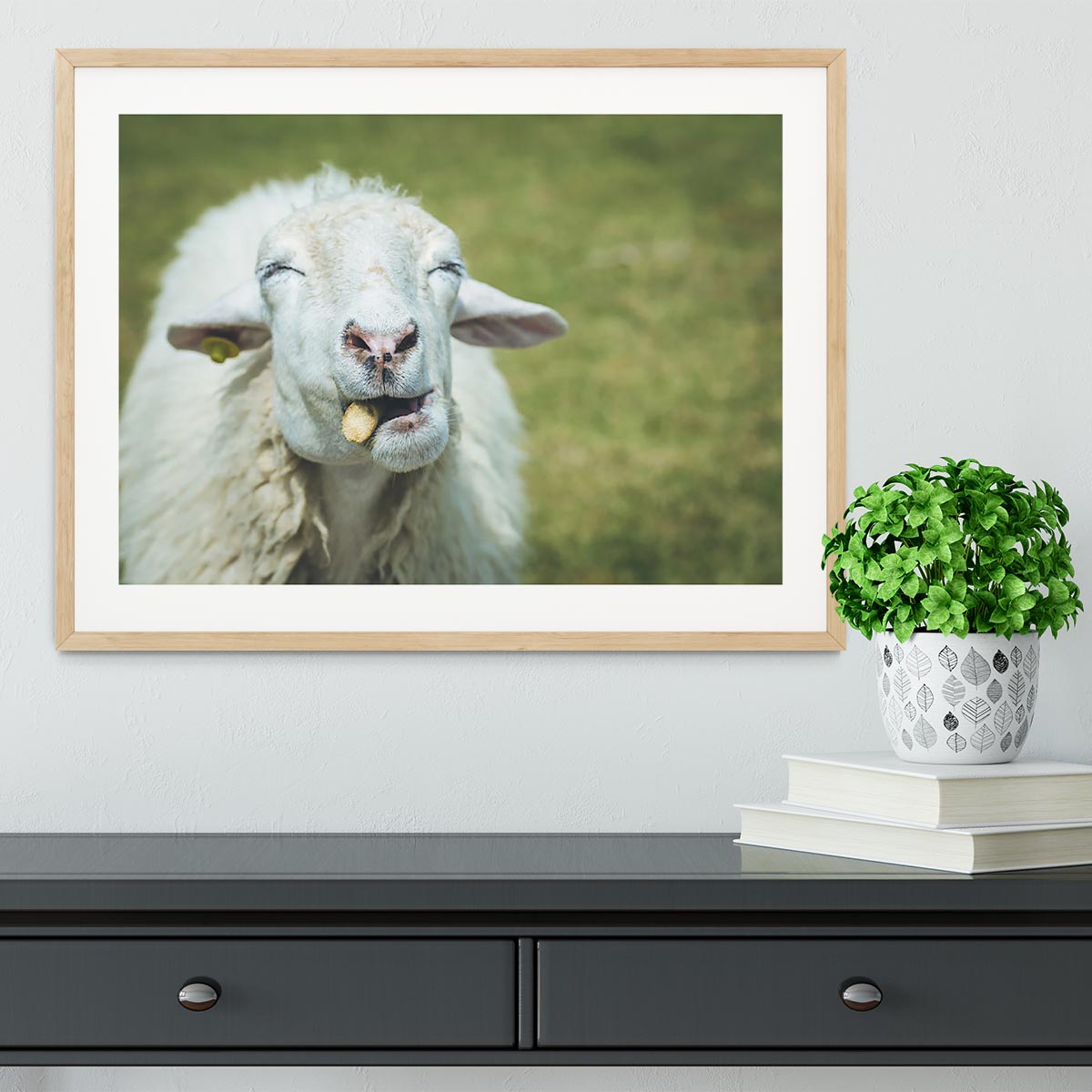 Close up head of sheep in farm Framed Print - Canvas Art Rocks - 3