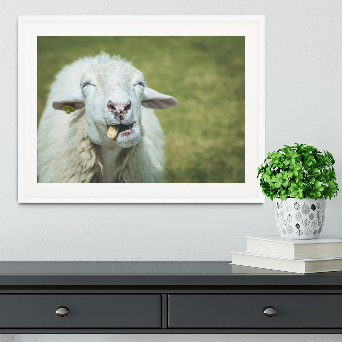 Close up head of sheep in farm Framed Print - Canvas Art Rocks - 5