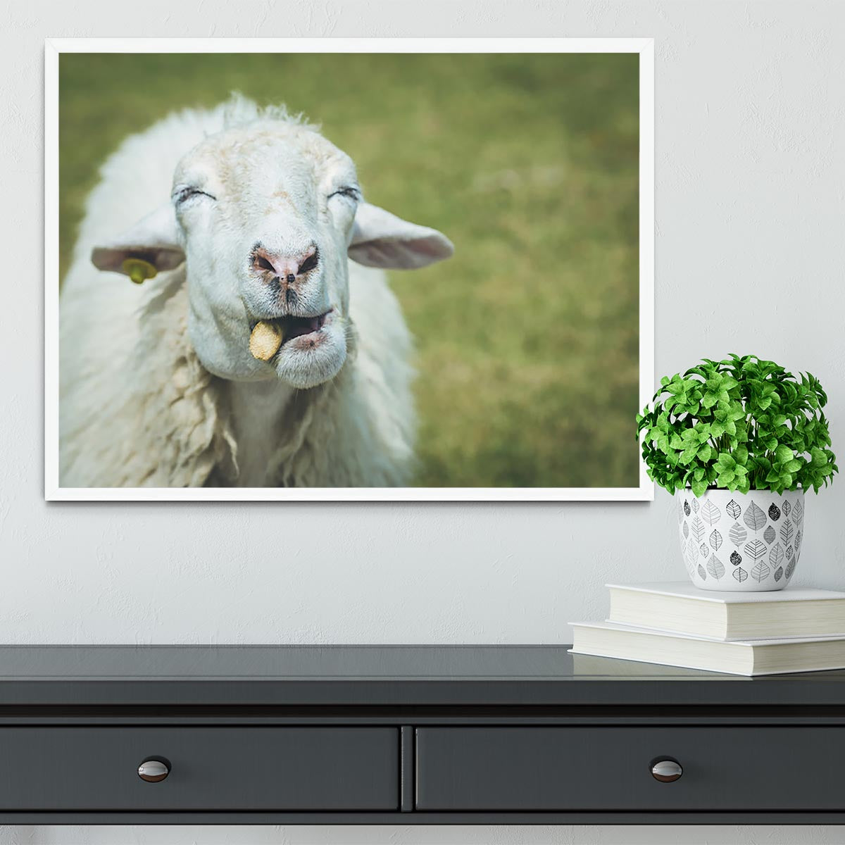 Close up head of sheep in farm Framed Print - Canvas Art Rocks -6