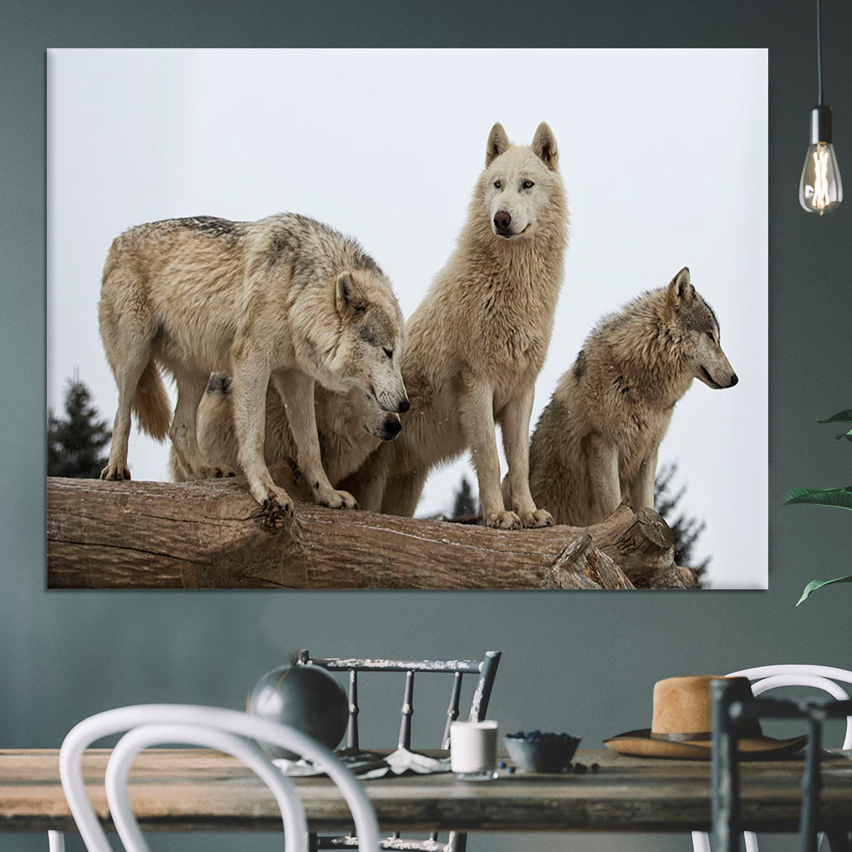 Close up image of a grey wolf pack Canvas Print or Poster - Canvas Art Rocks - 3