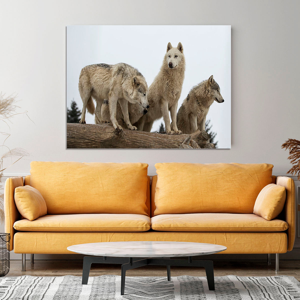 Close up image of a grey wolf pack Canvas Print or Poster - Canvas Art Rocks - 4