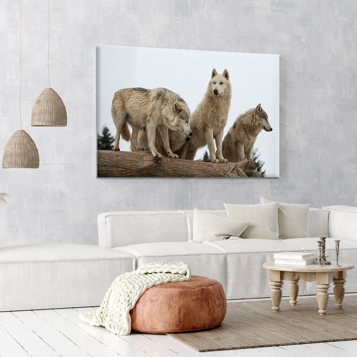Close up image of a grey wolf pack Canvas Print or Poster - Canvas Art Rocks - 6