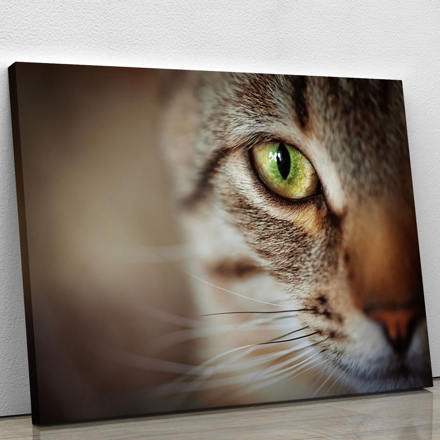 Closeup of tabby cat face. Fauna background Canvas Print or Poster - Canvas Art Rocks - 1