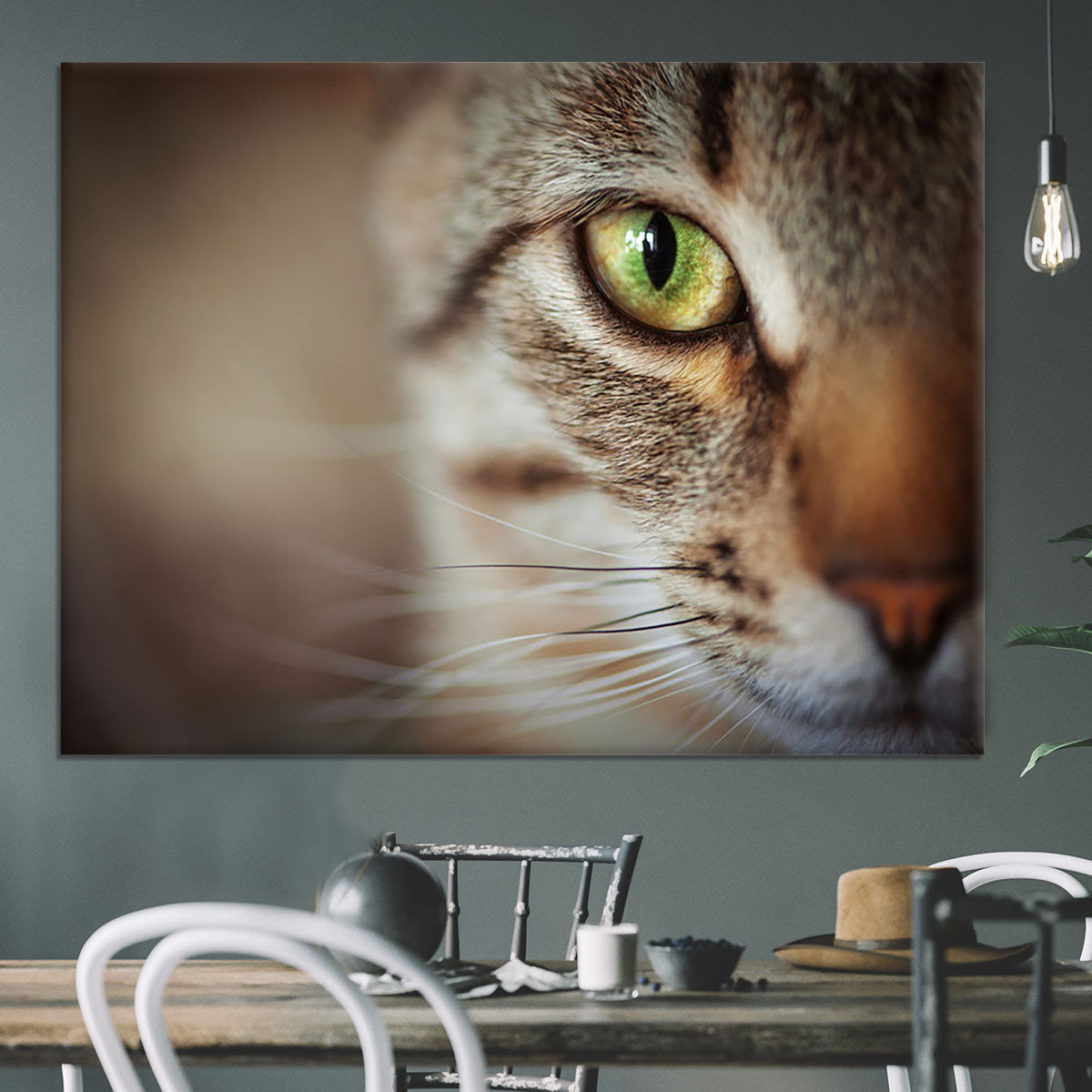 Closeup of tabby cat face. Fauna background Canvas Print or Poster - Canvas Art Rocks - 3