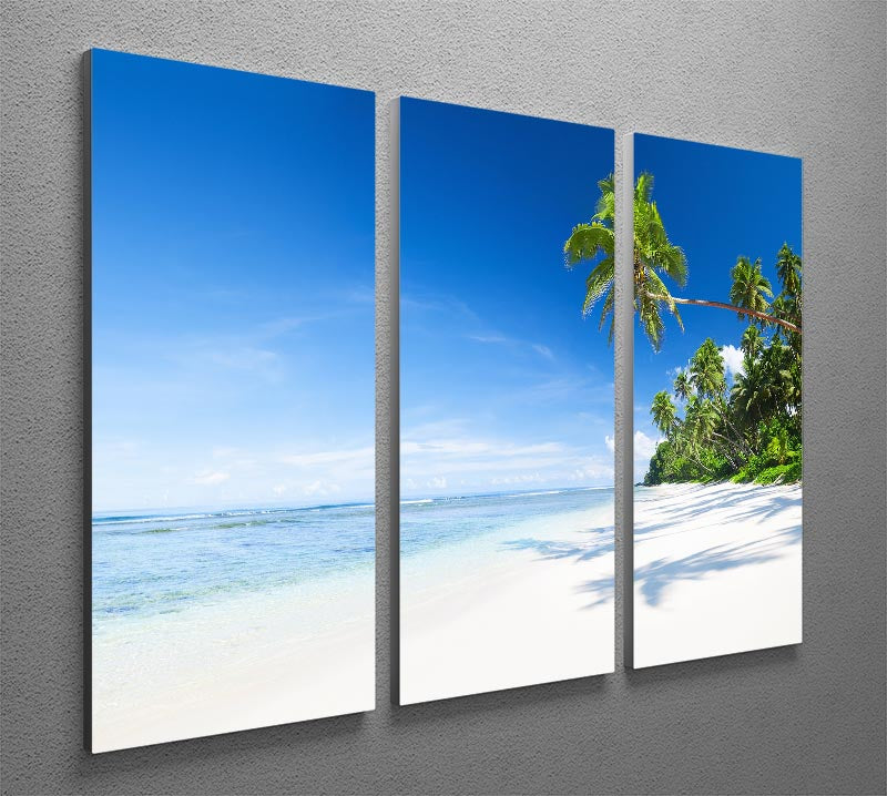 Coastline and Palm Tree 3 Split Panel Canvas Print - Canvas Art Rocks - 2
