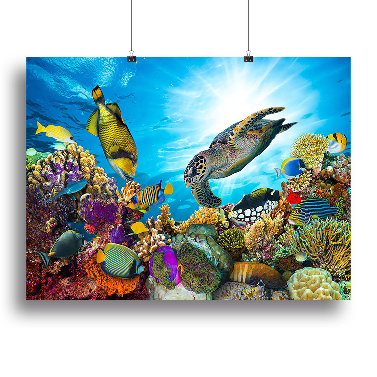Colorful coral reef Canvas Print or Poster - Canvas Art Rocks - 2