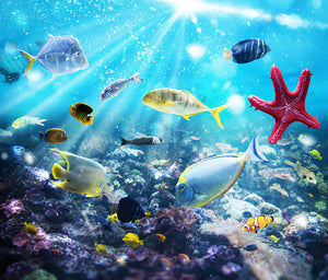 Colourful fish and marine vegetation undersea with sunray Wall Mural Wallpaper - Canvas Art Rocks - 1