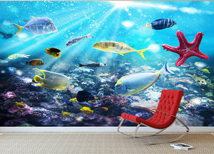 Colourful fish and marine vegetation undersea with sunray Wall Mural Wallpaper - Canvas Art Rocks - 2
