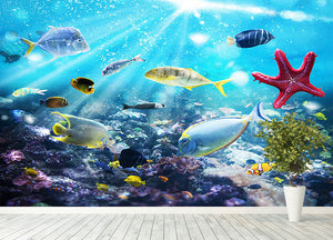 Colourful fish and marine vegetation undersea with sunray Wall Mural Wallpaper - Canvas Art Rocks - 4