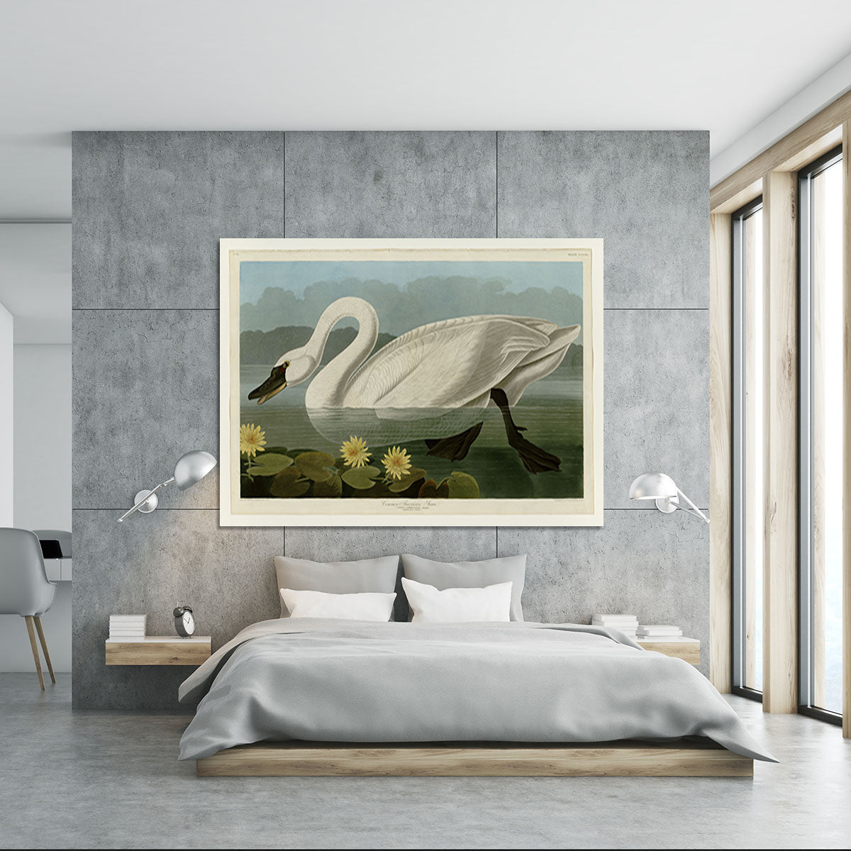 Common American Swan by Audubon Canvas Print or Poster - Canvas Art Rocks - 5