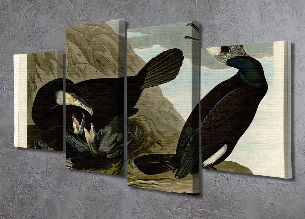 Common Cormorant by Audubon 4 Split Panel Canvas - Canvas Art Rocks - 2
